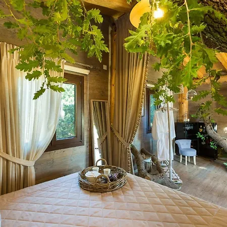 Stolidi Mou Treehouse