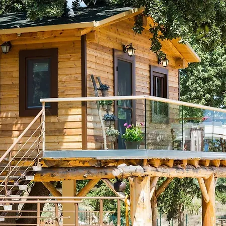 Stolidi Mou Treehouse Casa de Férias *