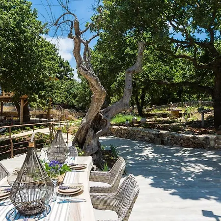 Casa de Férias Stolidi Mou Treehouse